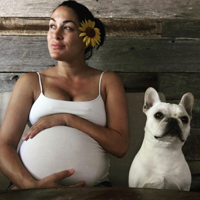 Brie Bella, Instagram